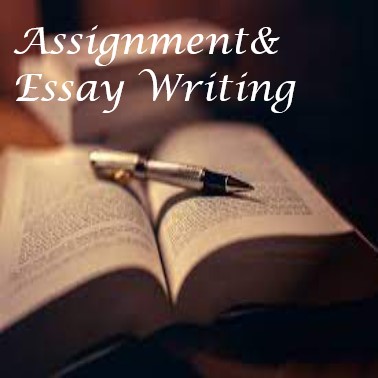Assignment&Essay Writing