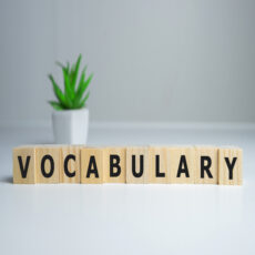 Guidelines for Researchers to Improve their Academic Vocabulary ...